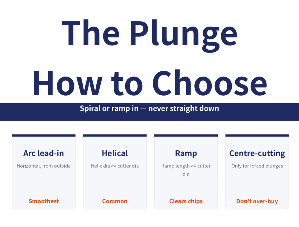 Choosing the Plunge reading-guide hero image. Title: 